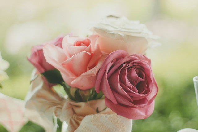 roses 983972 640 - Como escolher o mês ideal para seu casamento - #duvidasdenoiva