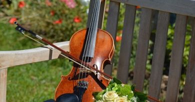 violin 1061239 960 720 390x205 - DIY- Quantas músicas escolho para o casamento?