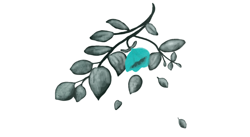 O que é Funil de Vendas de forma prática? Como Construir um Funil de Vendas? arquivo padrão 04 1024x561 - O que é Funil de Vendas de forma prática? Como Construir um Funil de Vendas?