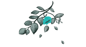 Cupons de Descontos - Fornecedores arquivo padrão 04 300x164 - Cupons de Descontos - Fornecedores